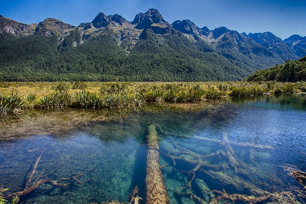 Landscape water nature wilderness Photo