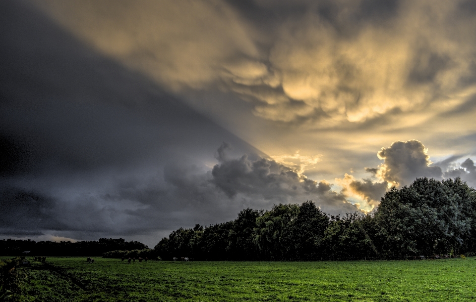 Landscape nature horizon cloud