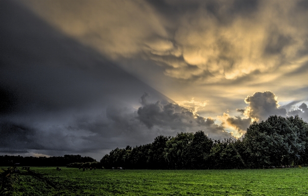 Landscape nature horizon cloud Photo