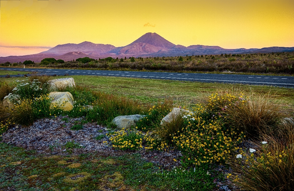 Landscape nature grass wilderness