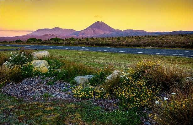 Foto Paisagem natureza grama região selvagem
