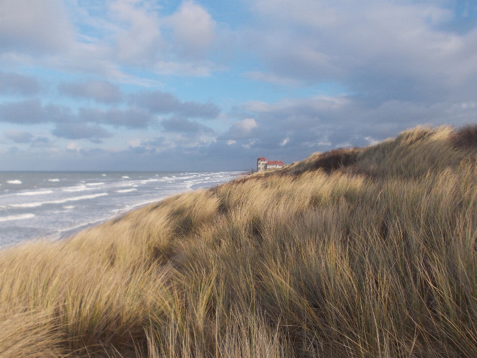 Strand landschaft meer küste