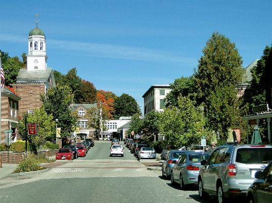 Tree road street fall Photo