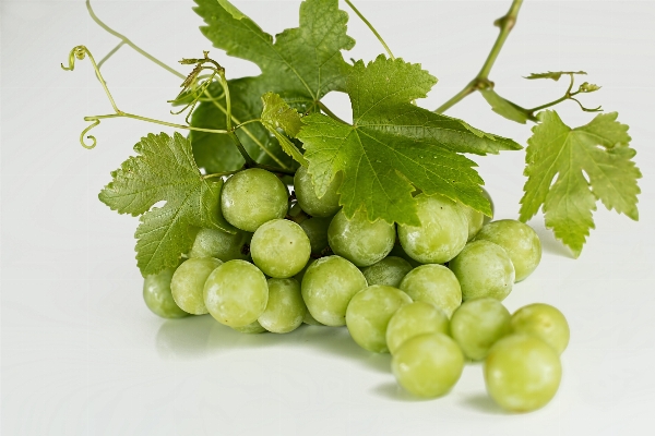 Plant grape bunch fruit Photo