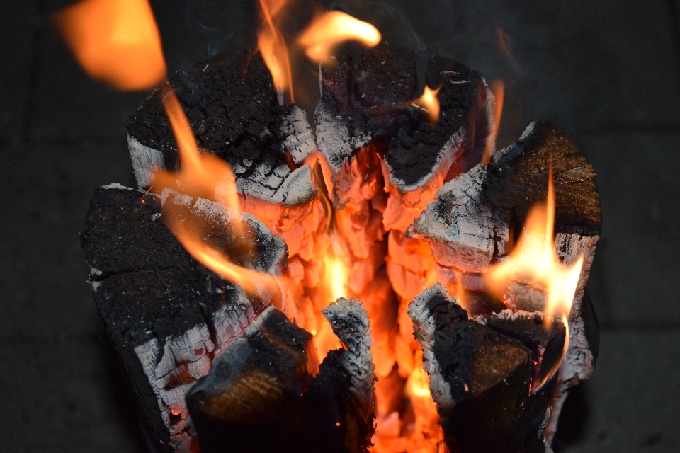 Wood warm log flame