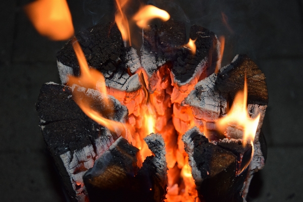 Wood warm log flame Photo