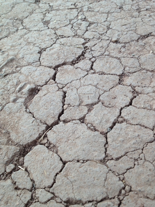 Nature ground texture arid