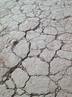 Nature ground texture arid Photo