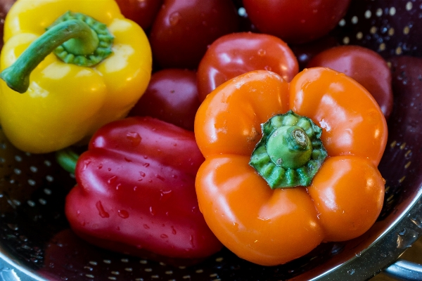 Plant fruit wet orange Photo