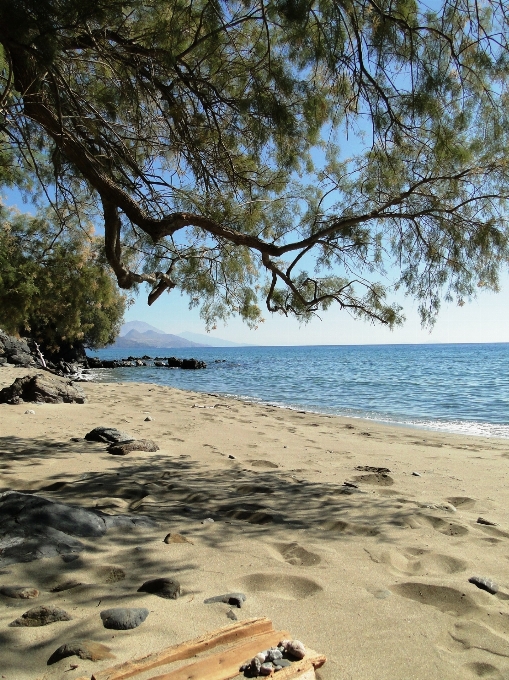 Pantai laut pesisir alam