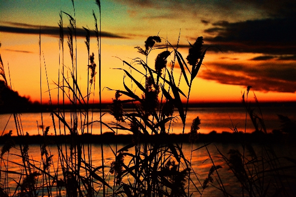 Nature cloud sunrise sunset Photo