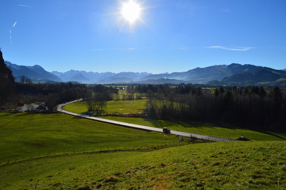 Paesaggio natura erba orizzonte