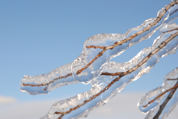 Foto Paesaggio albero acqua natura