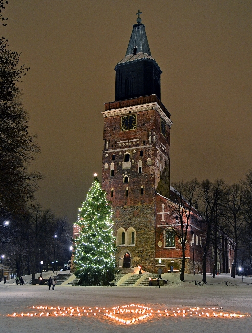 Baum schnee winter nacht