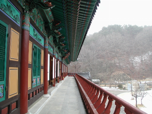 Town downtown buddhism landmark Photo