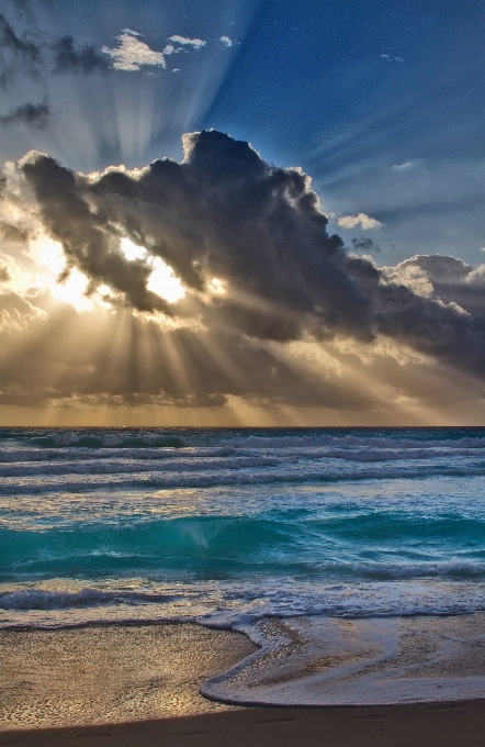 Beach landscape sea coast