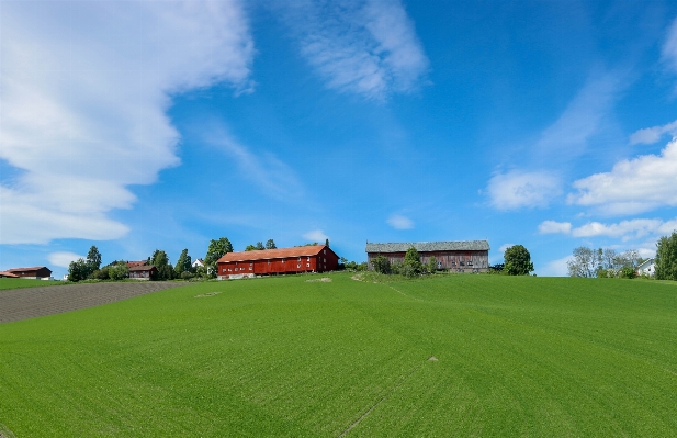 Landscape grass horizon cloud Photo