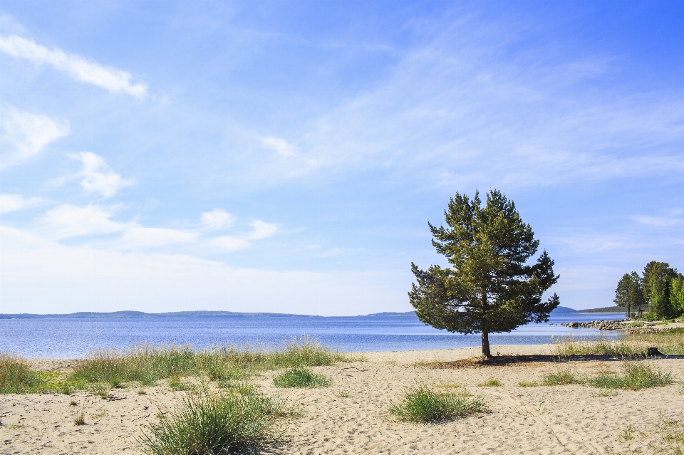 Plage paysage mer côte