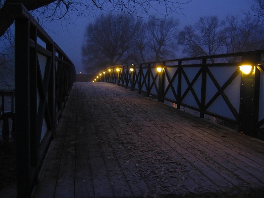 Tree snow light bridge Photo