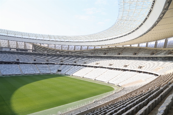 Foto Estrutura auditório
 estádio campo de beisebol
