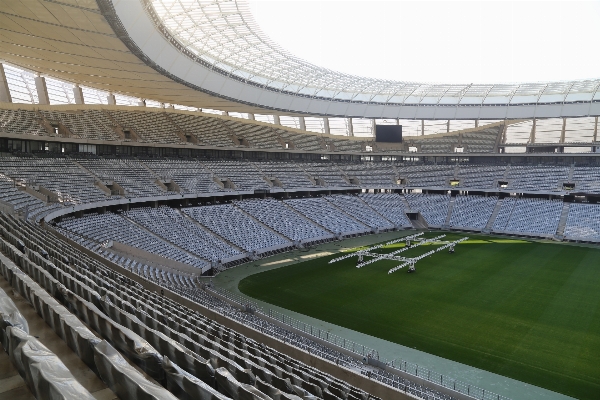 Foto Estrutura auditório
 estádio campo de beisebol
