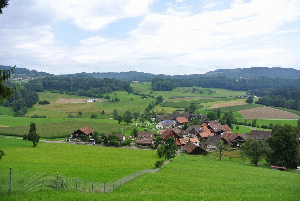 Paisagem grama montanha estrutura