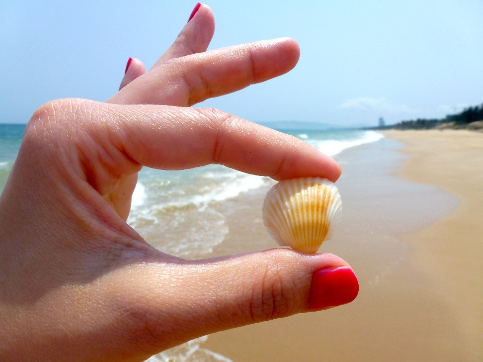 Tangan pantai laut pasir