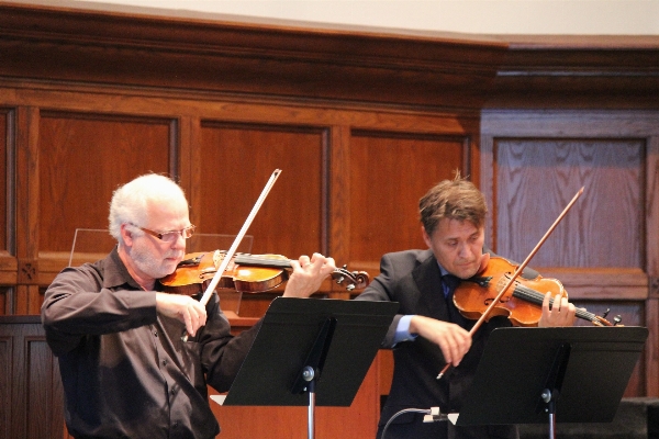 Musik konzert instrument musiker Foto