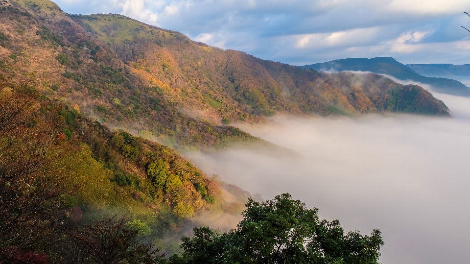 Landscape nature forest wilderness