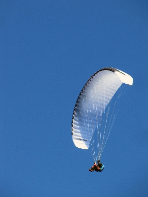 Wing sky flight blue Photo