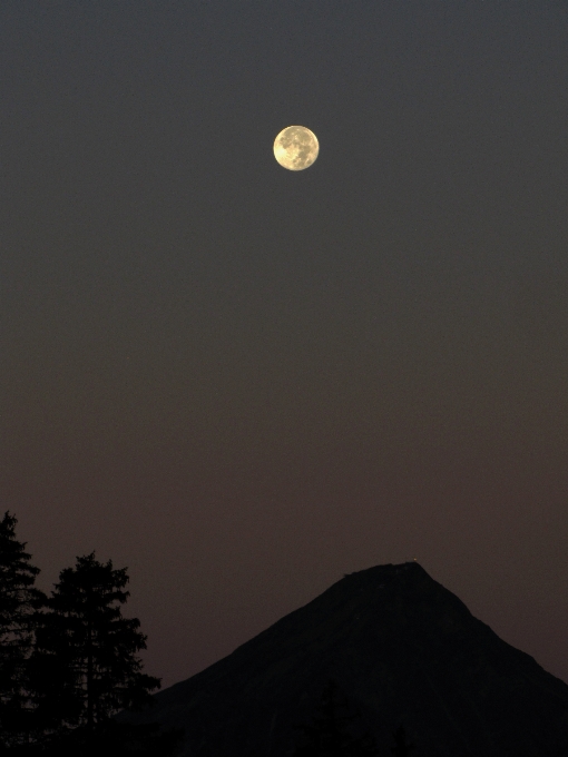 自然 地平线 山 光