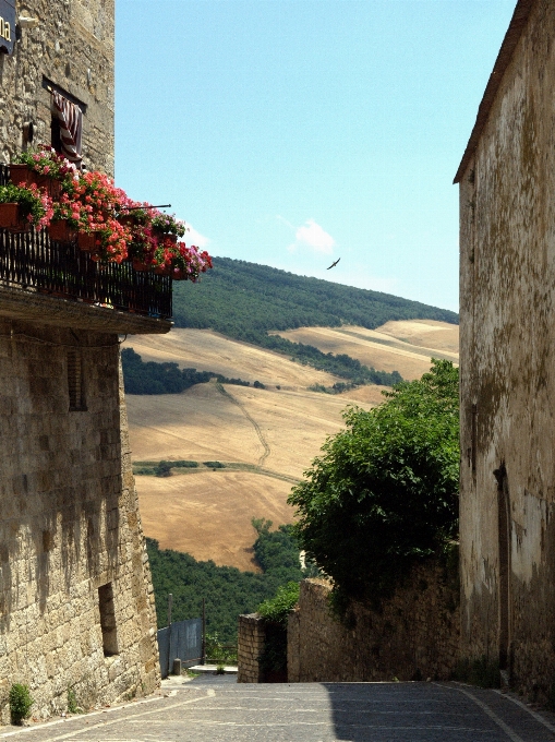 Paysage architecture route rue