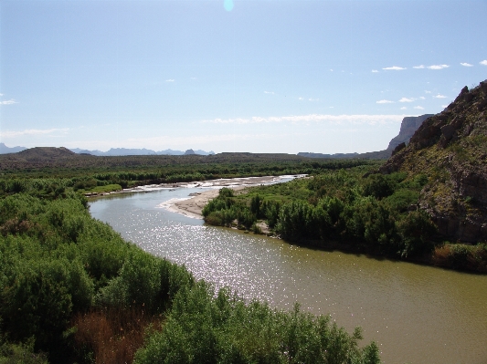 Coast water nature marsh Photo