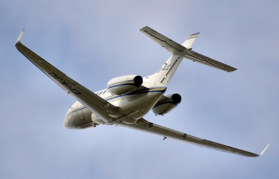 羽 空 飛行機 航空機