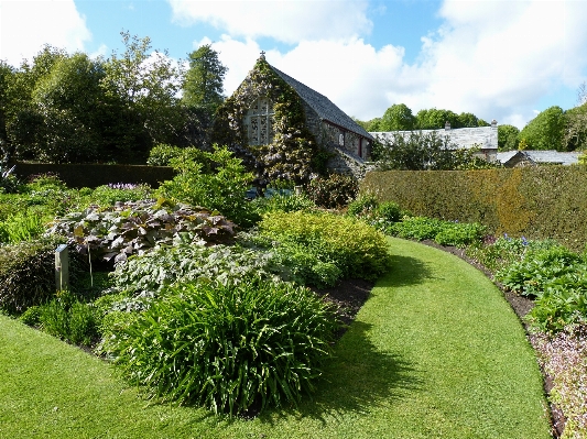 Landscape nature grass lawn Photo