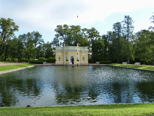 Tree water grass architecture Photo