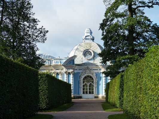 Tree architecture mansion lake Photo