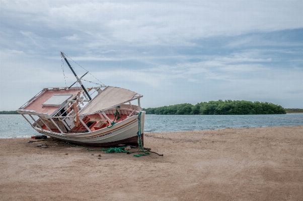 Beach sea coast sand Photo