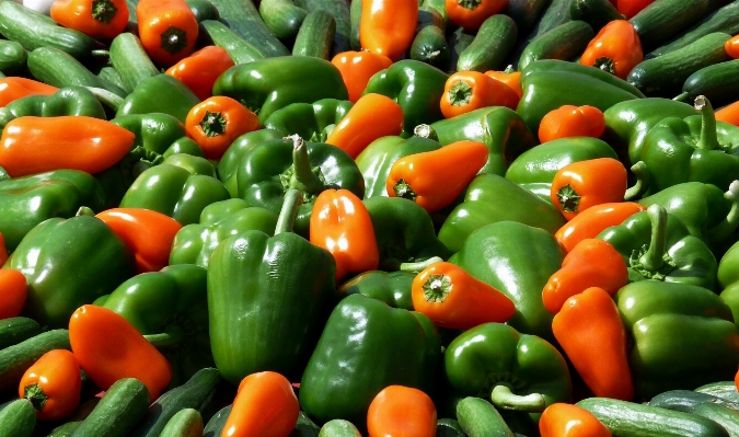 Plant food green produce Photo