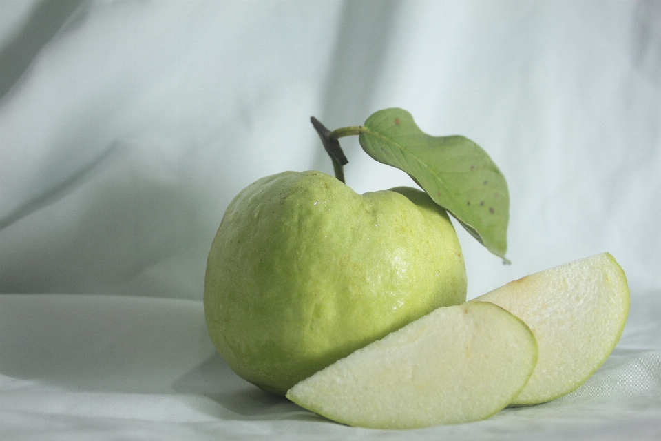 Apple 植物 フルーツ 食べ物