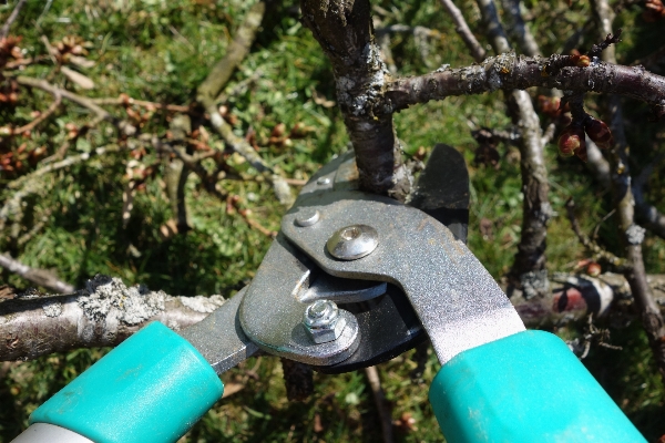 Arbeiten fahrrad grün fahrzeug Foto