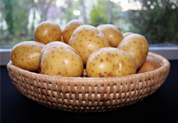 Anlage frucht essen produzieren Foto