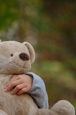 Foto Doce filhote de cachorro bonitinho urso