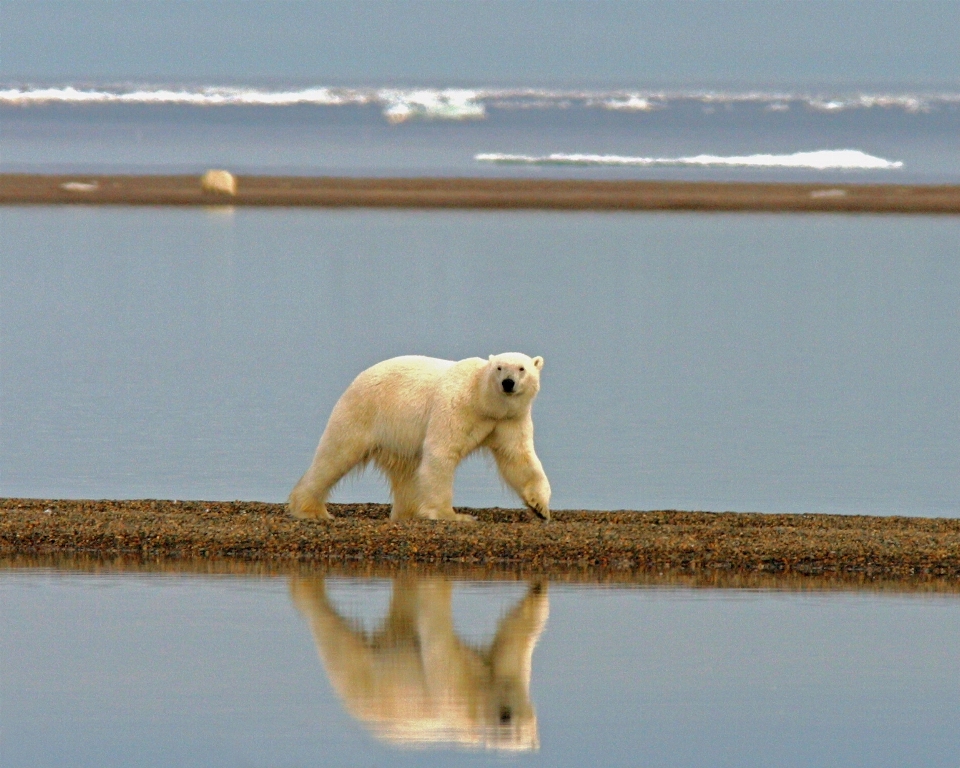 Meer wasser wildnis
 gehen