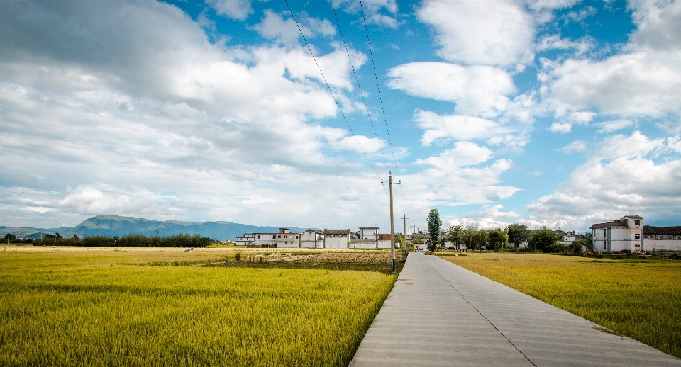 Landscape grass horizon cloud