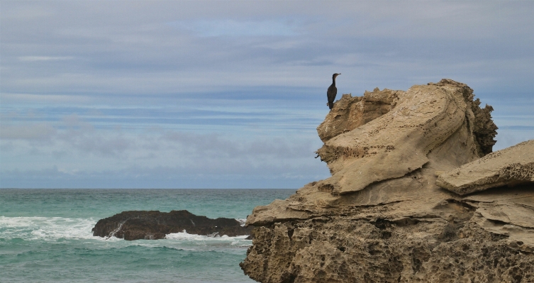 Beach landscape sea coast Photo