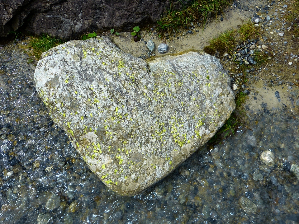 Naturaleza rock hoja piedra