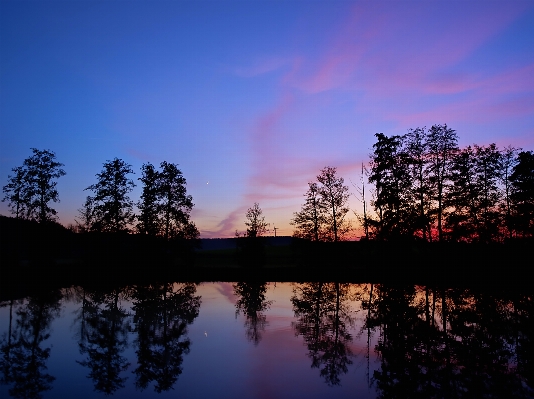 風景 木 水 自然 写真