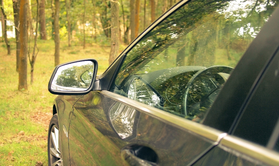 Natura foresta leggero auto