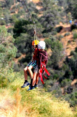 Forest outdoor person rope Photo